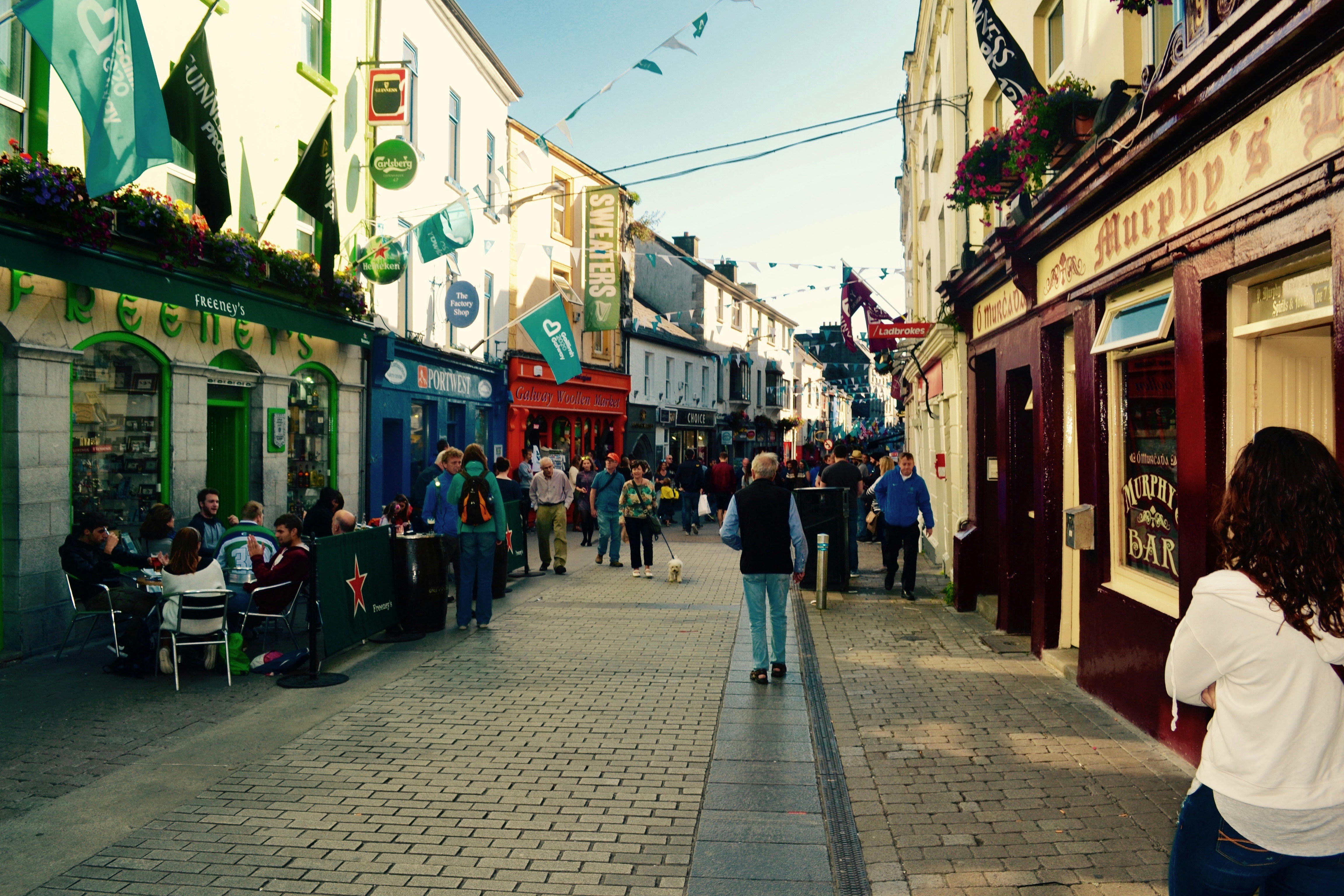 LocalGov.ie - The Services Were Always There image 3